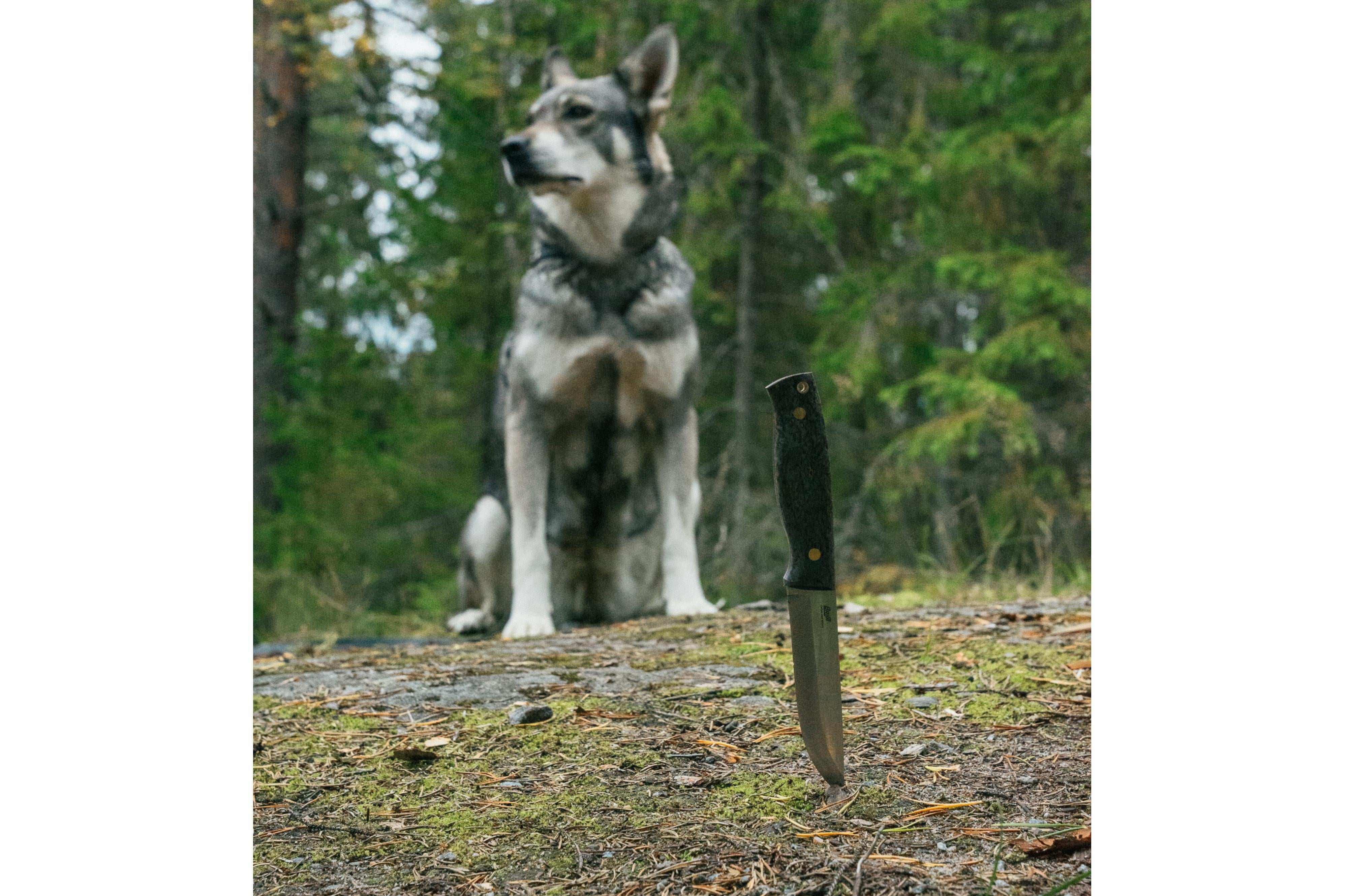 Trooper 115 - BlackCurlyBirch - Scandi - Bushcraft.