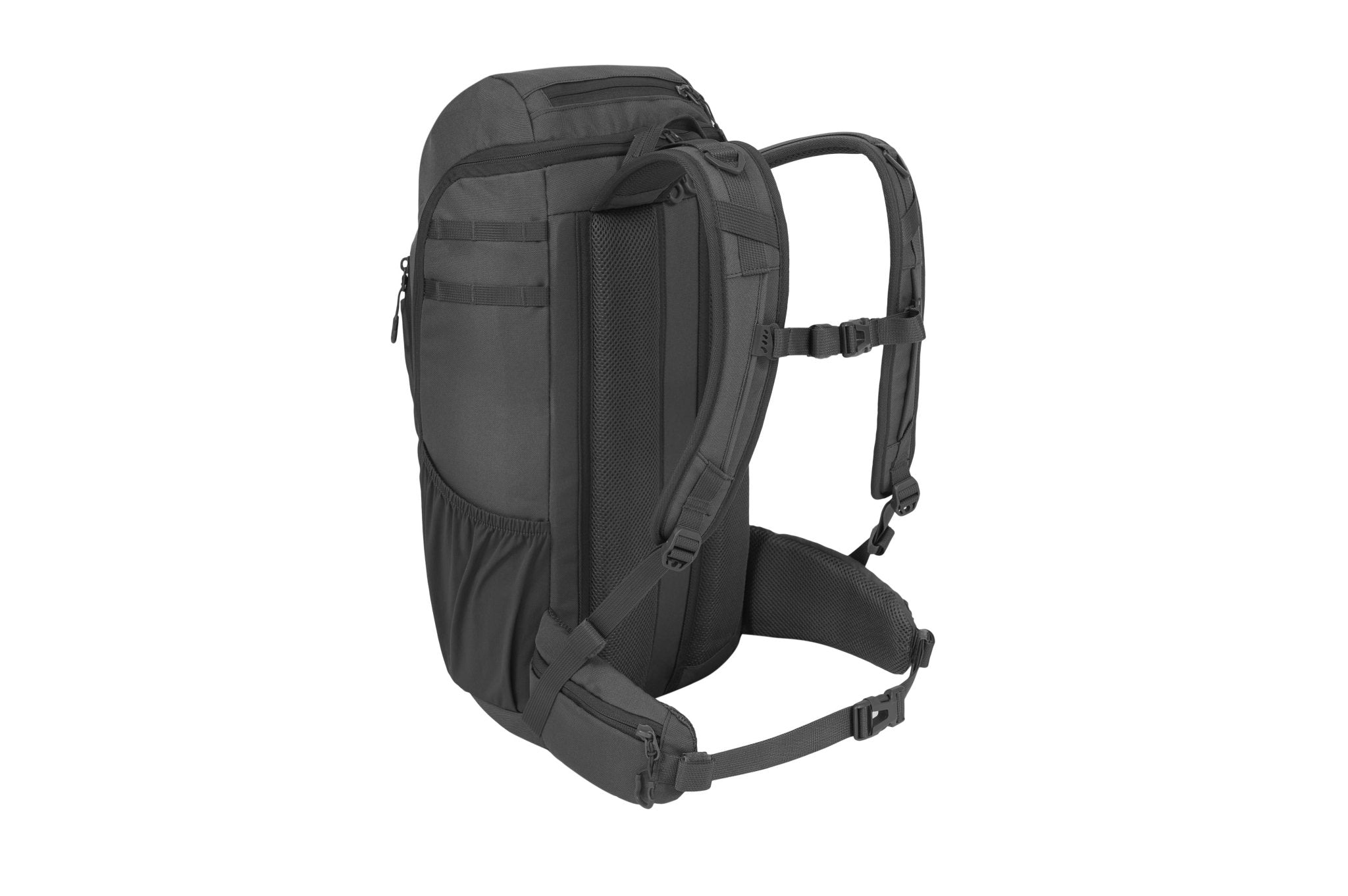 Eagle 2 - Camperreich