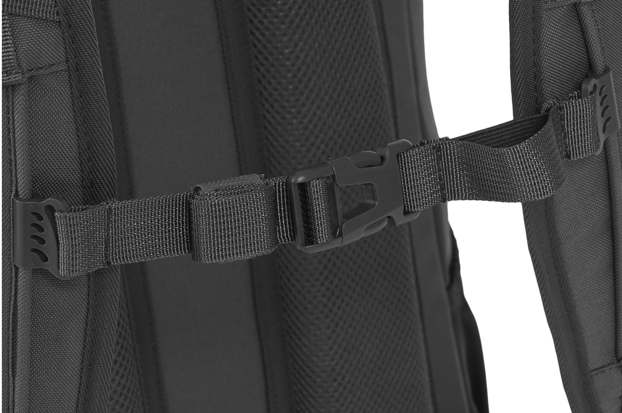 Eagle 2 - Camperreich