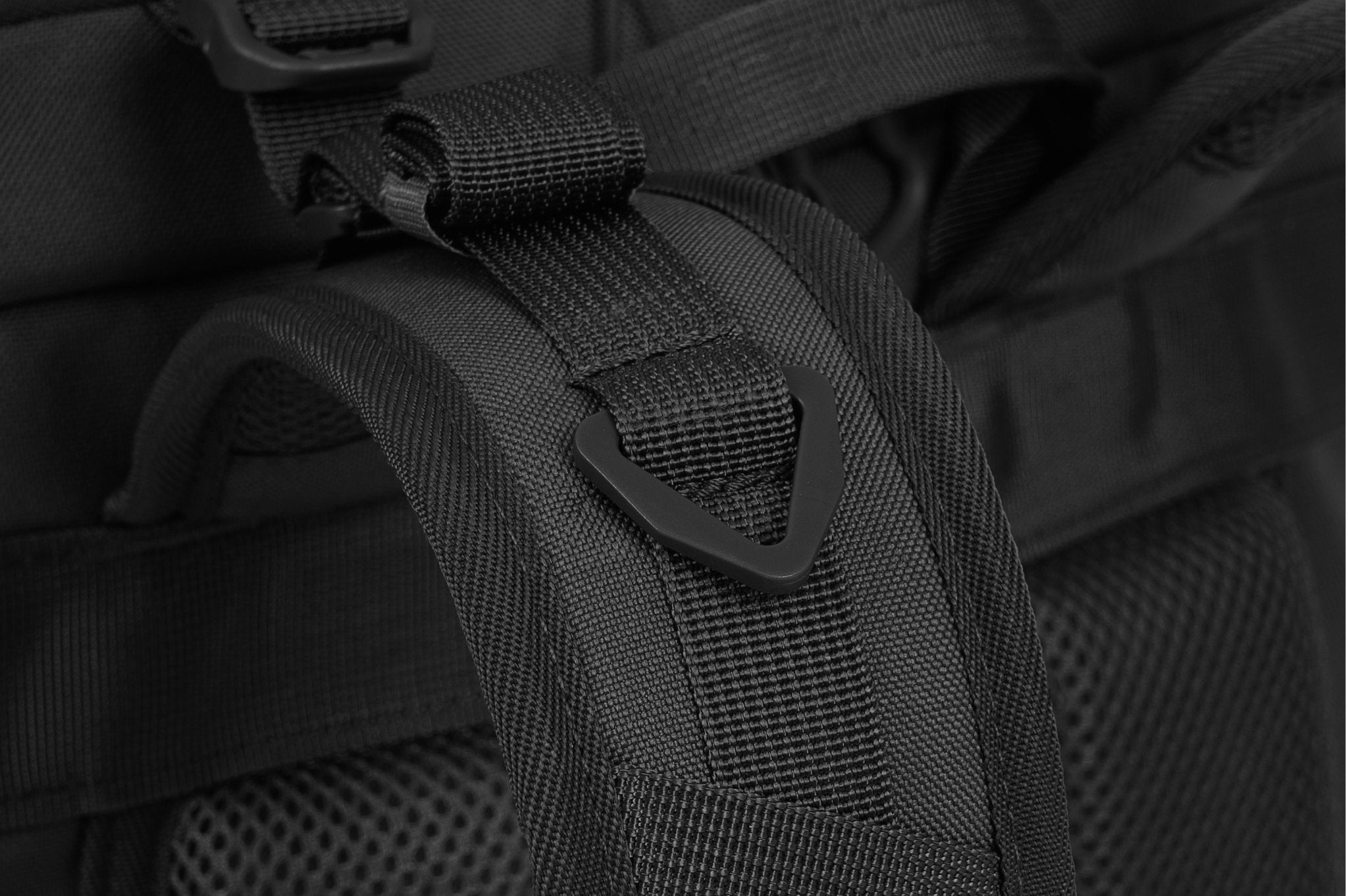 Eagle 3 - Camperreich