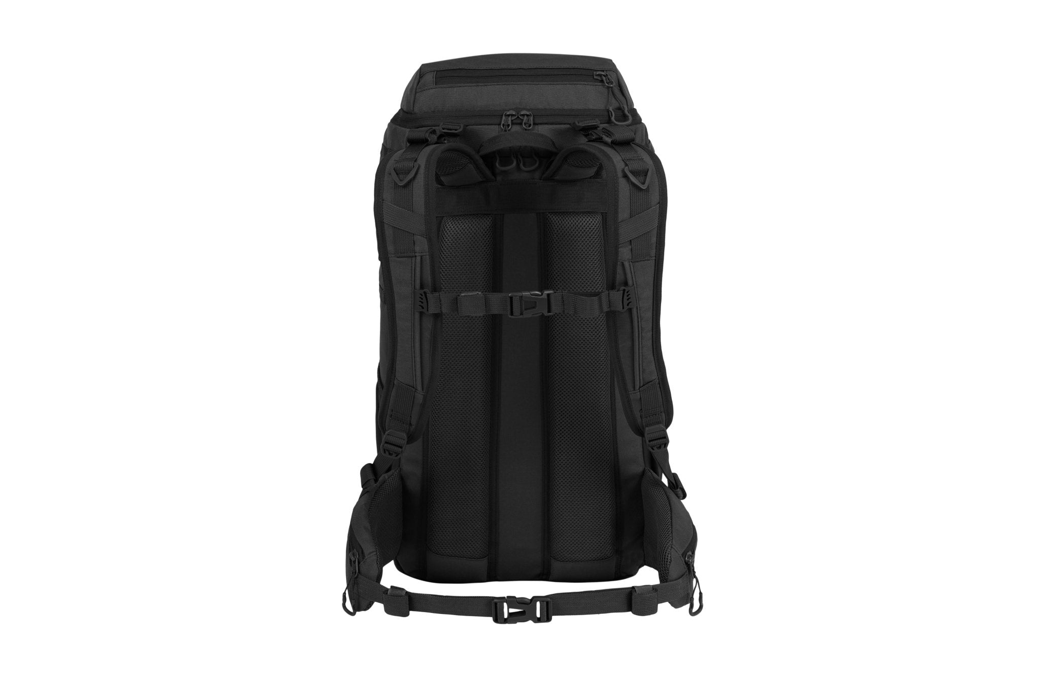 Eagle 3 - Camperreich