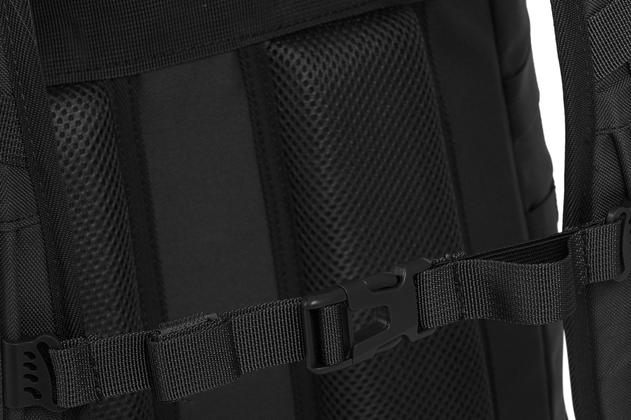 Eagle 3 - Camperreich