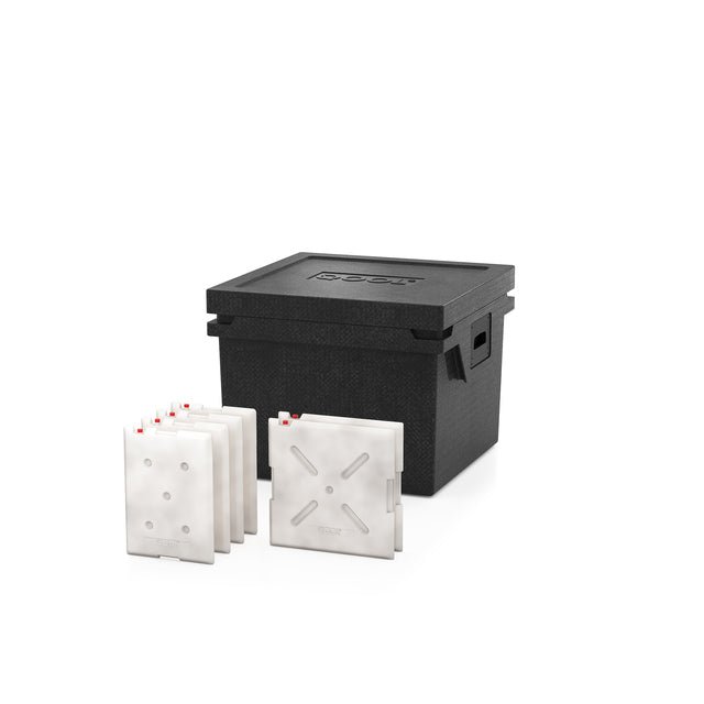 Kühlbox Qool Box Eco+ L Frozen - Camperreich