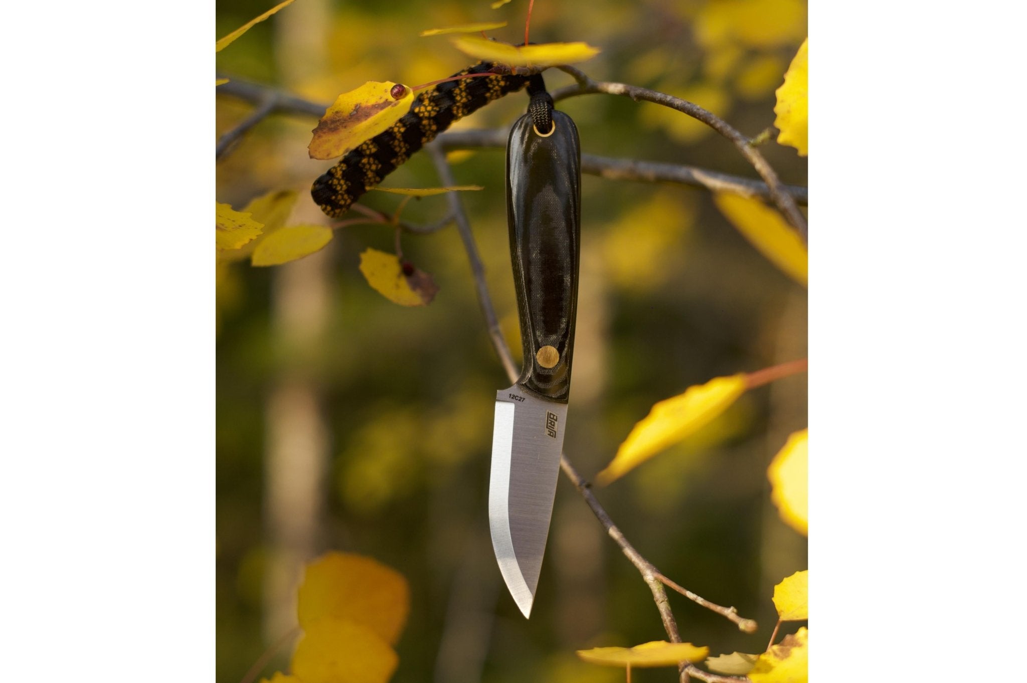 Necker 70 - BlackMicarta - Scandi - Kydex - Camperreich