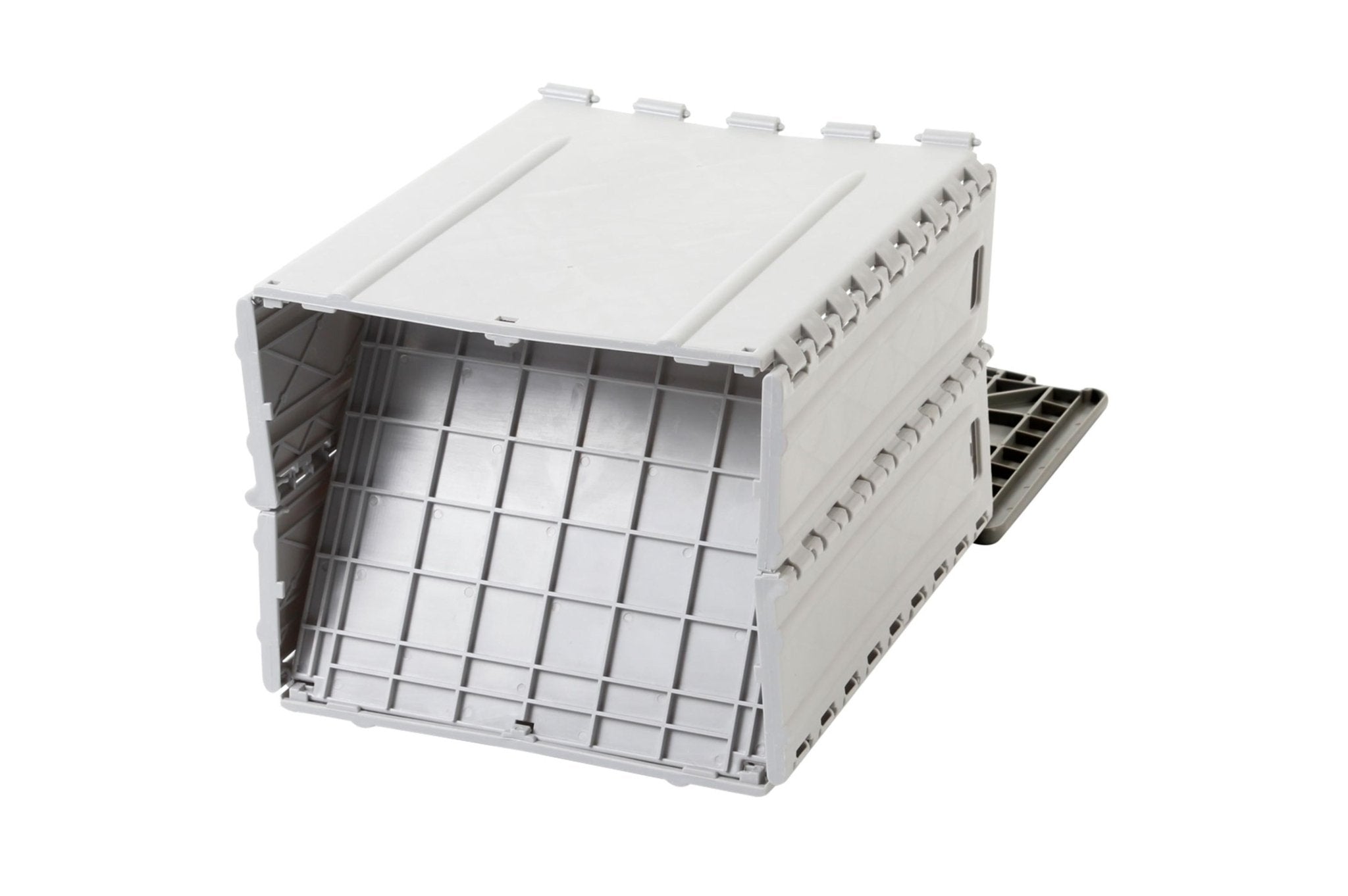 Plitter - Camperreich