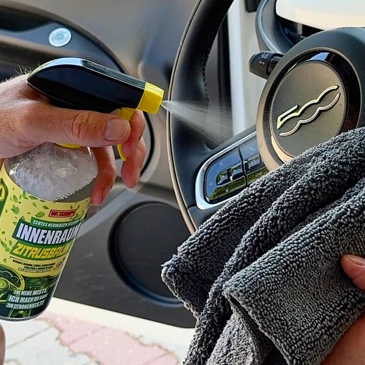 Woshup Innenraumreiniger Zitrusbaum - Camperreich