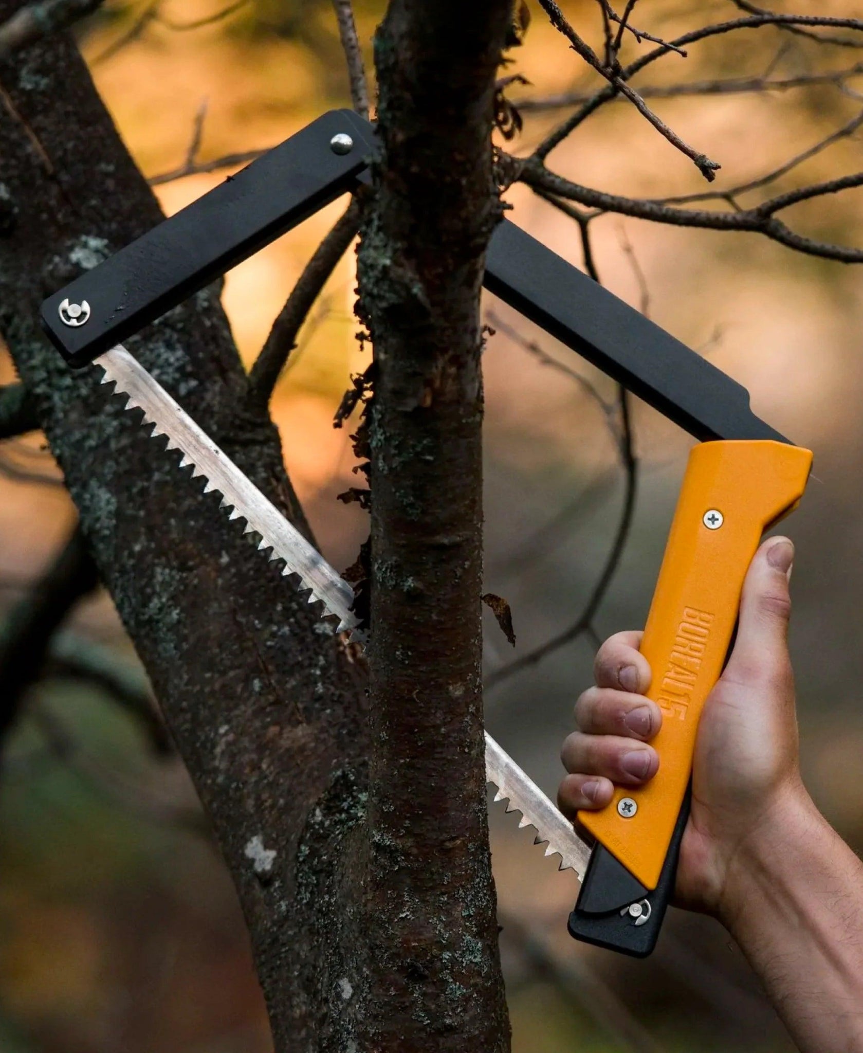 Boreal 15 - Camperreich