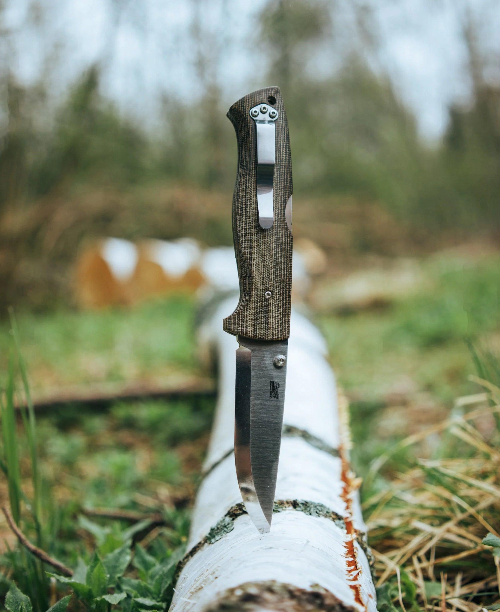 Pocket knives - Camperreich