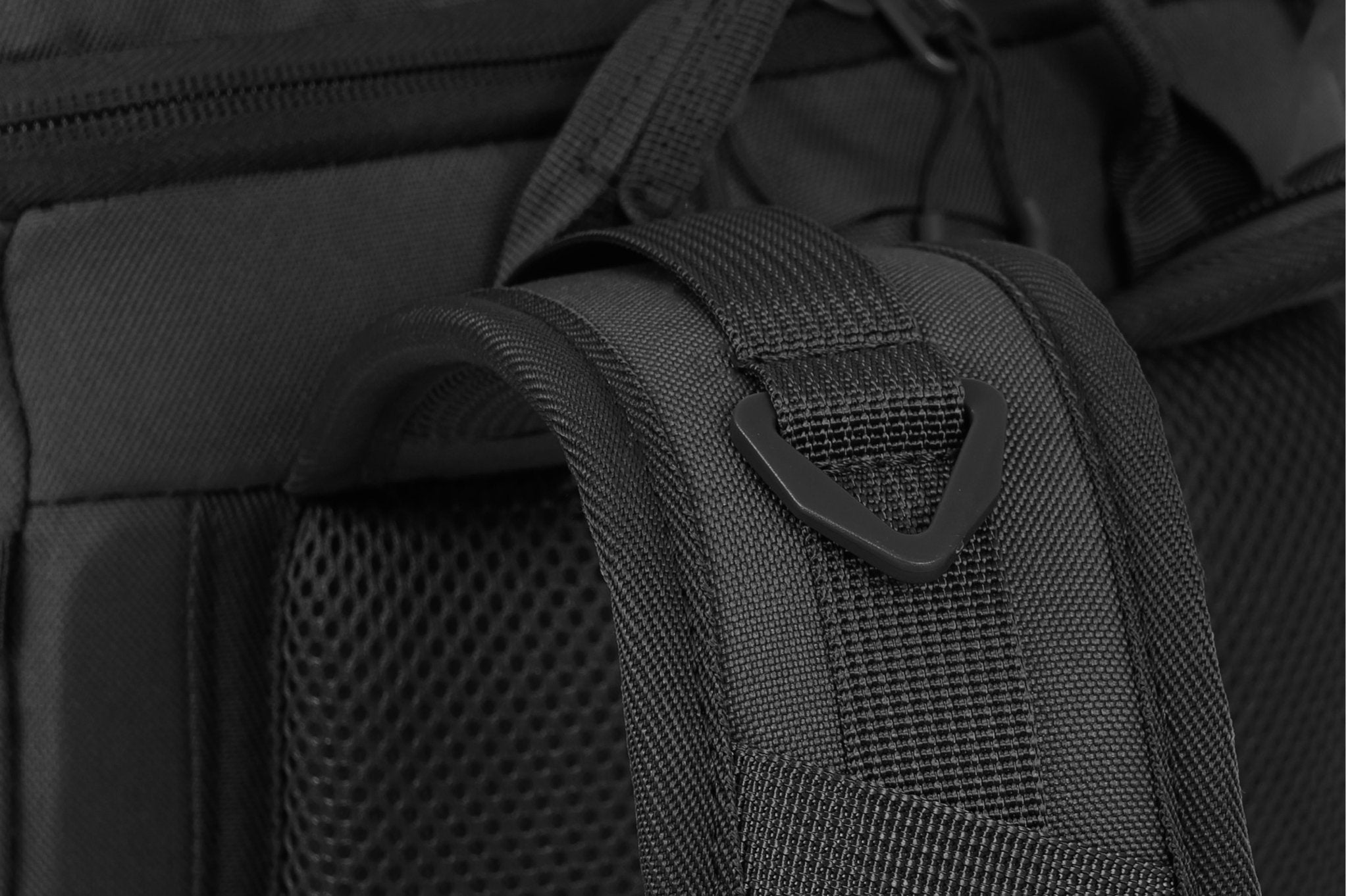 Eagle 2 - Camperreich