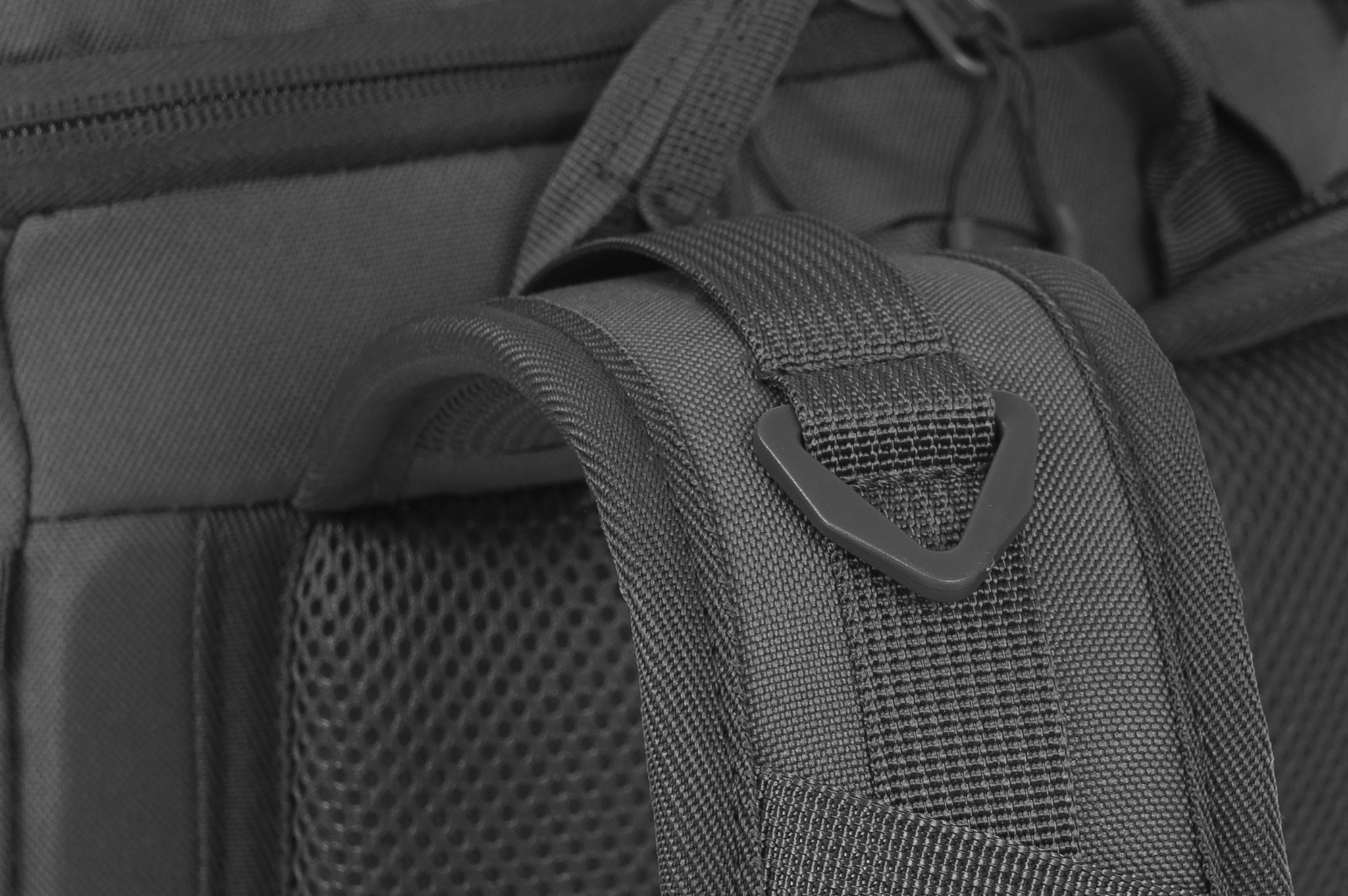 Eagle 2 - Camperreich