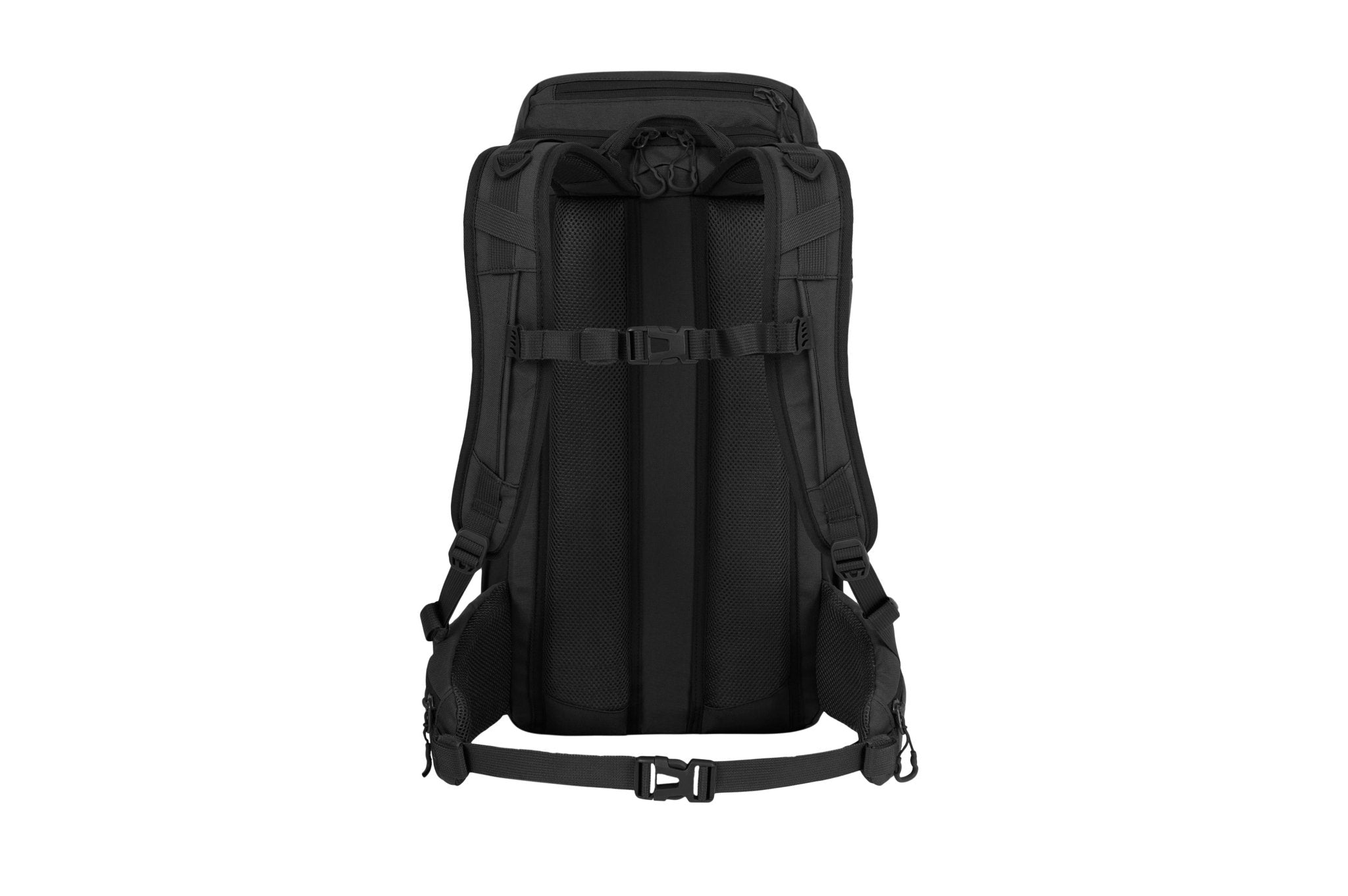 Eagle 2 - Camperreich