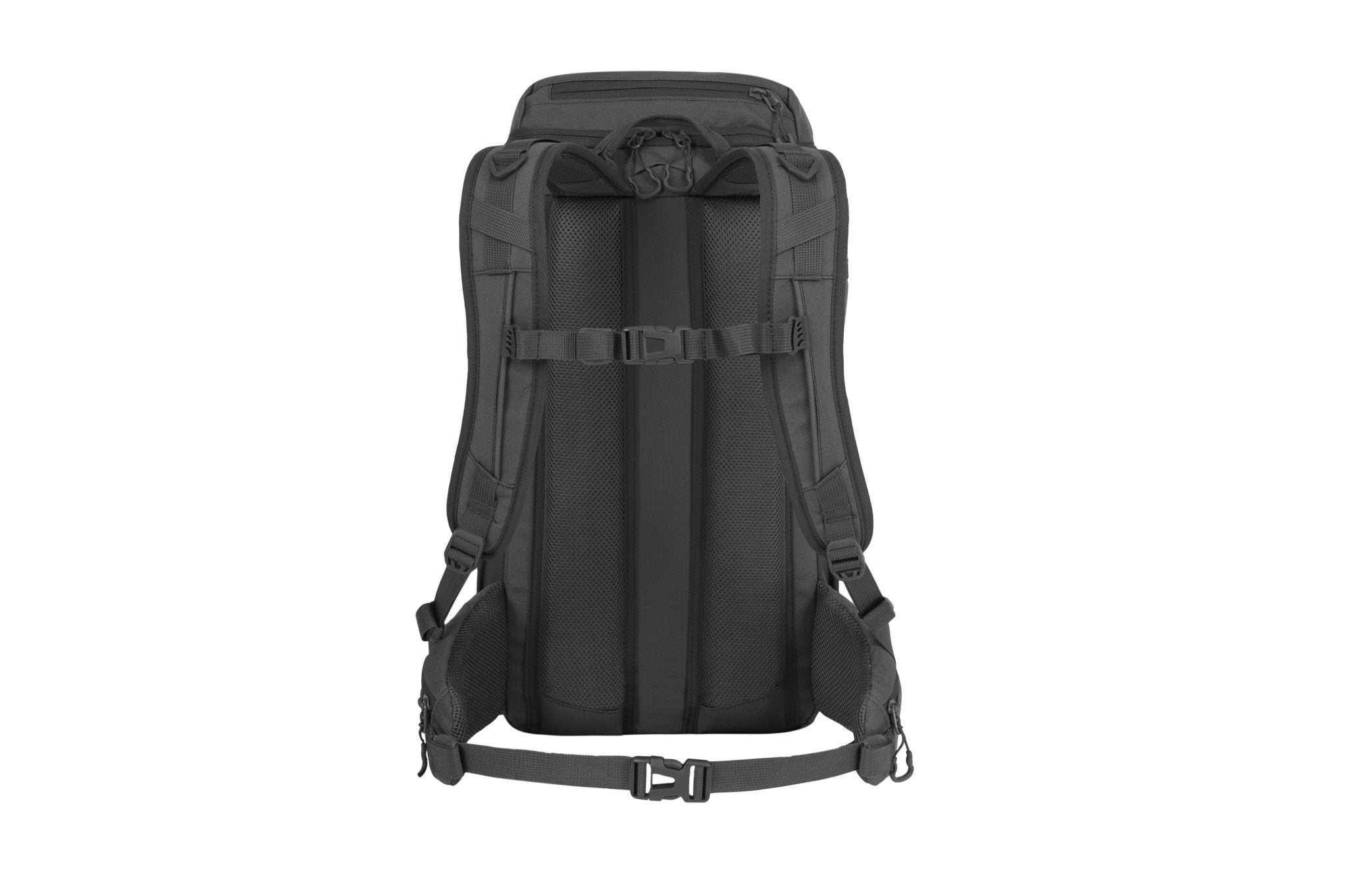 Eagle 2 - Camperreich