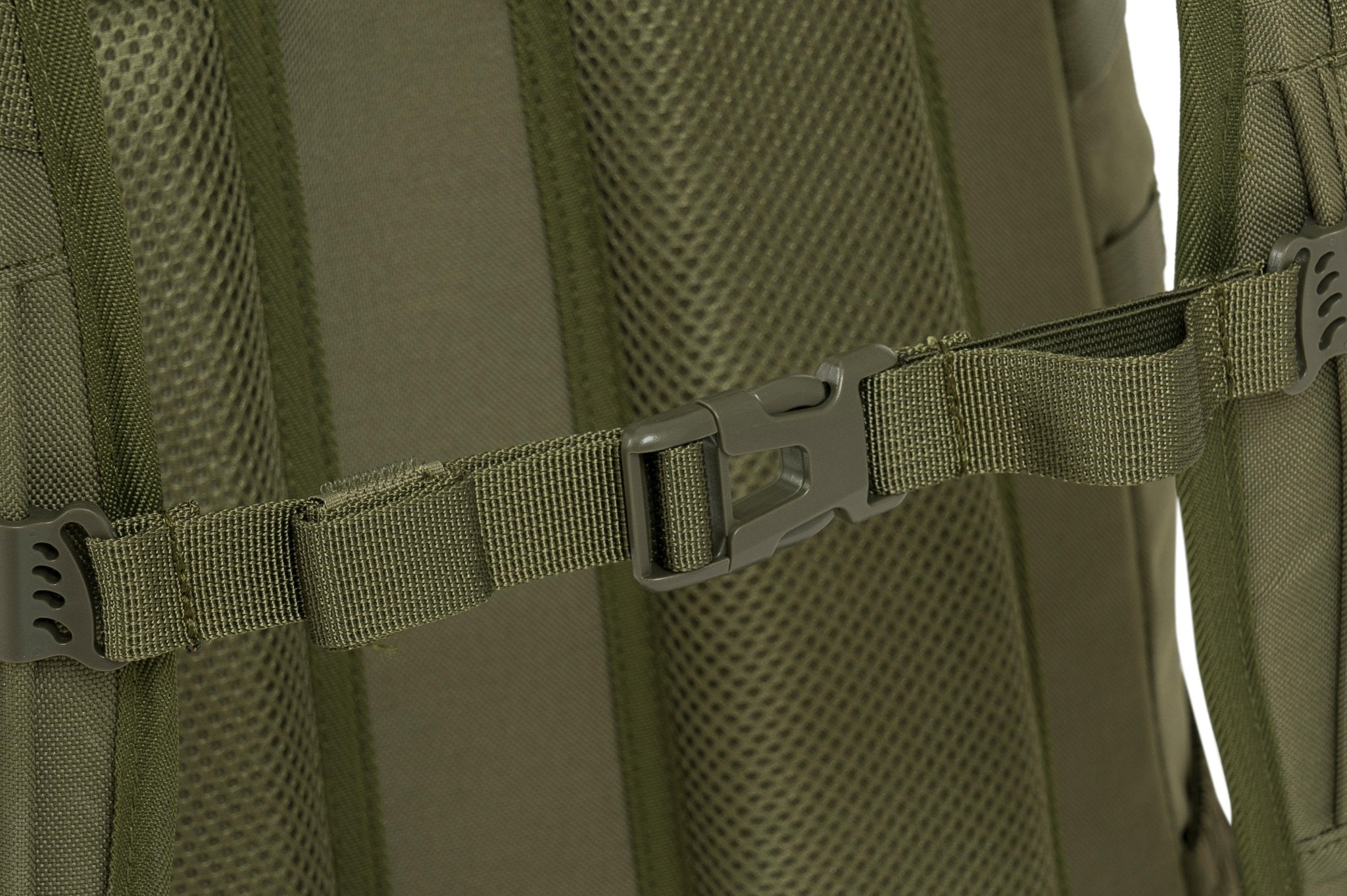 Eagle 3 - Camperreich