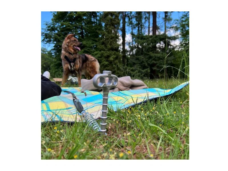 PetPeg - Bodenanker mit Stossdämpfer - Camperreich
