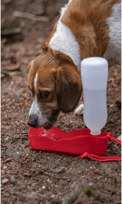 Wasserspender tragbar Gulliver 500 ml - Camperreich